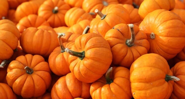 Pumpkin Offers Benefits Beyond Soup
