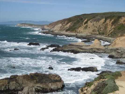 Scientists caution oxygen loss in oceans and lakes