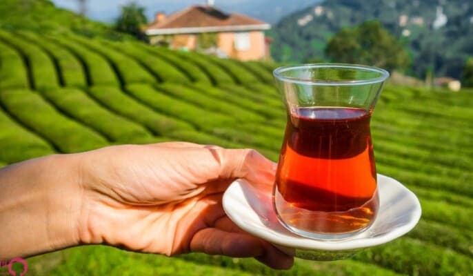 هل يؤثر طريقة شرب الشاي على فوائده