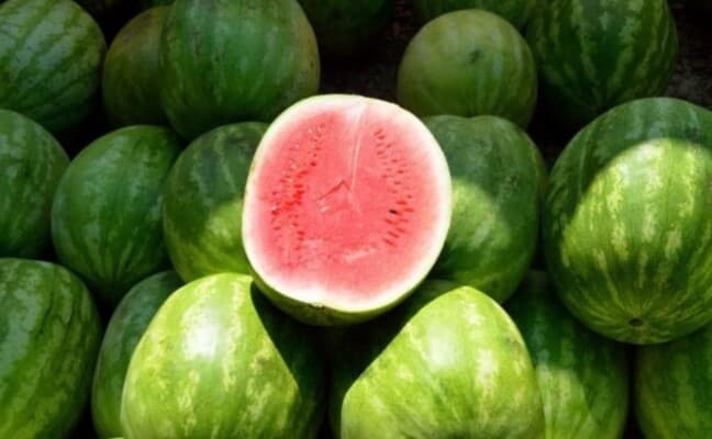 Eating watermelon before bed impacts health