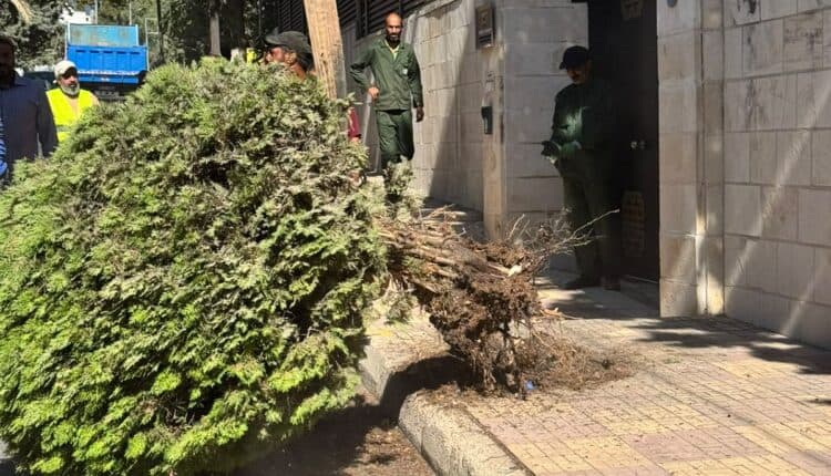 Amman Municipality Advances Pavement Repairs