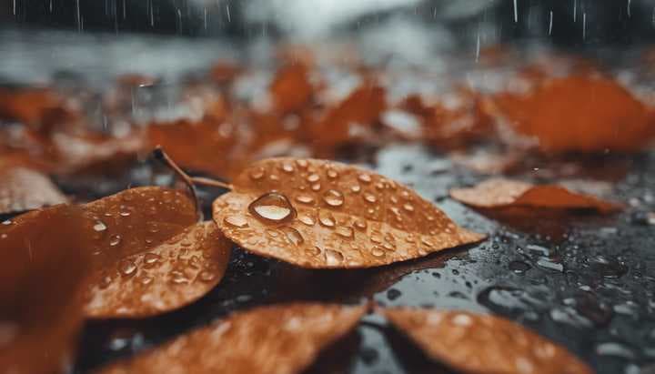 Jordan to see autumn weather and rain Thursday