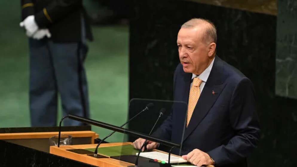 Erdogan Calls for Security Council Reform and Palestinian State Recognition