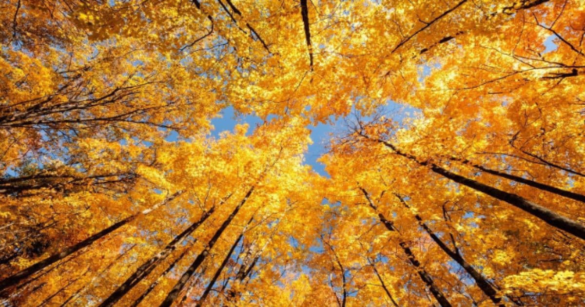 Jordan marks equinox and end of summer