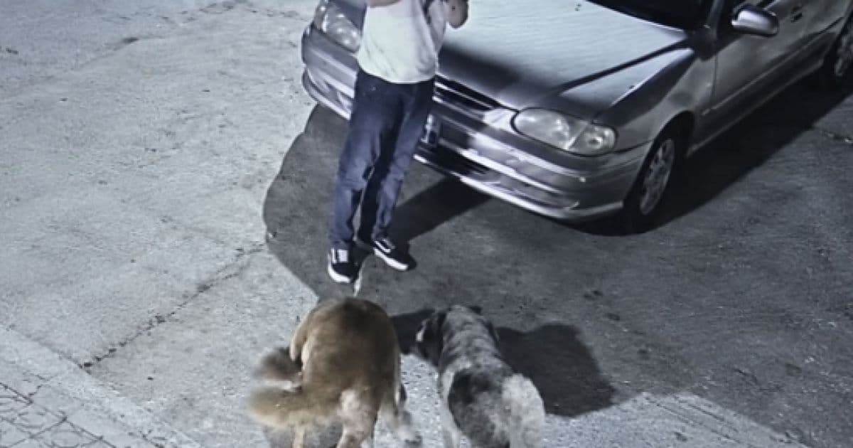 Man detained for allowing dogs to attack cat