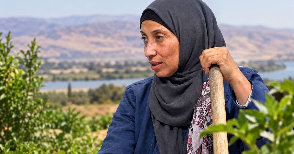 Nabila Al-Hashoush Guarantee Approved