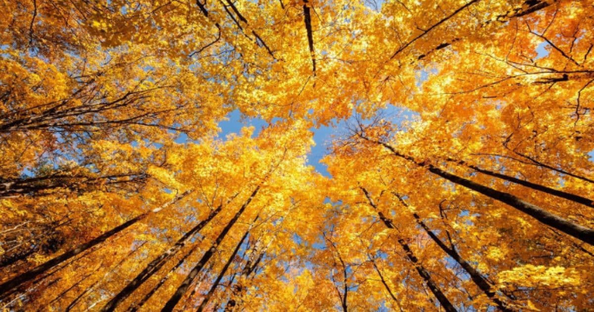 Wednesday sees mild weather at autumn's start