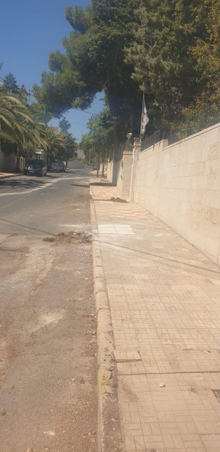 Respecting Sidewalks and Trees