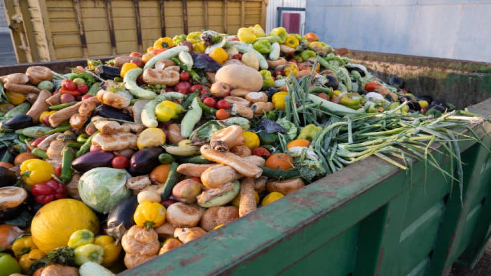 Agriculture Minister: Jordan wastes 1M tons of food annually