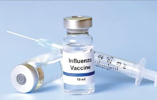Alimentary Authority: Influenza Vaccine Distribution in Two Days
