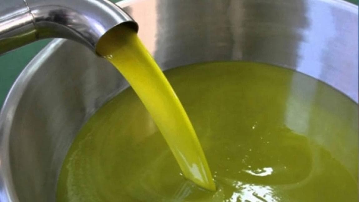 Irbid produces a third of national olive oil