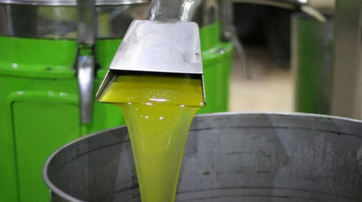 FDA promotes free olive oil tests at festivals