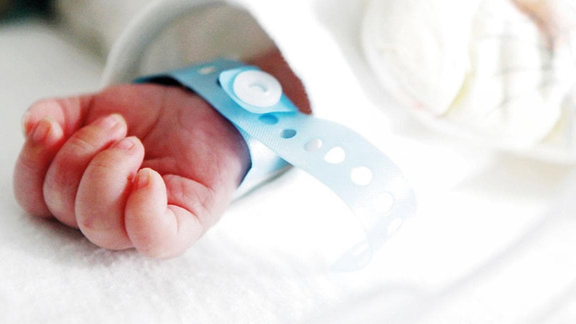 Higher Population Council reports 629 daily births on special dates