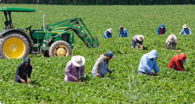 World Bank: Ardi Assists 63,000 Farmers