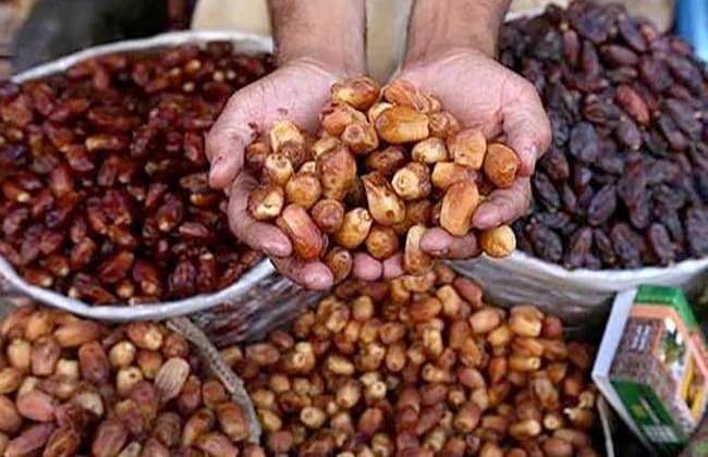 سكرتير مطروح يتابع استعدادات مهرجان التمور في سيوة