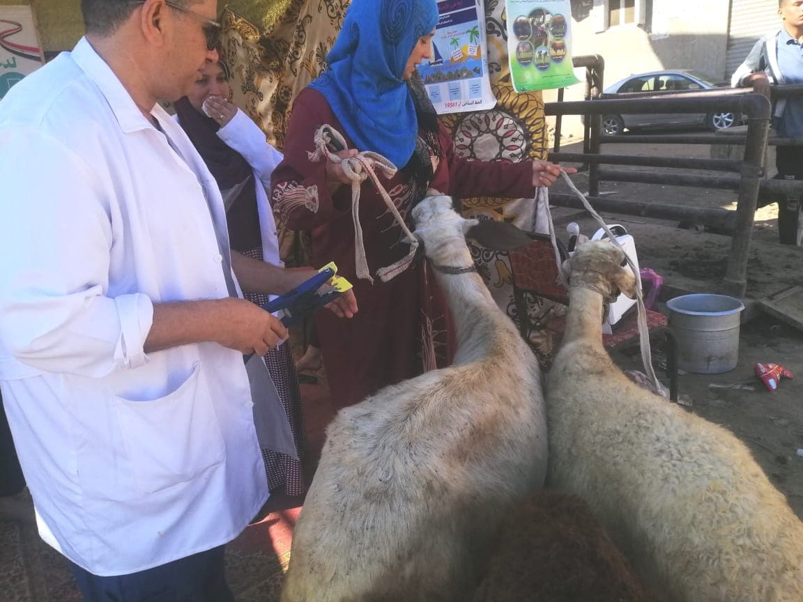 قافلة بيطرية في كفر خزاعل بالغربية