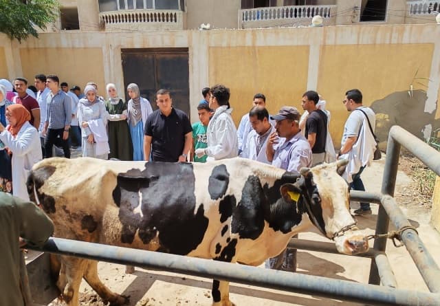 قافلة بيطرية مجانية في منشأة جنزور