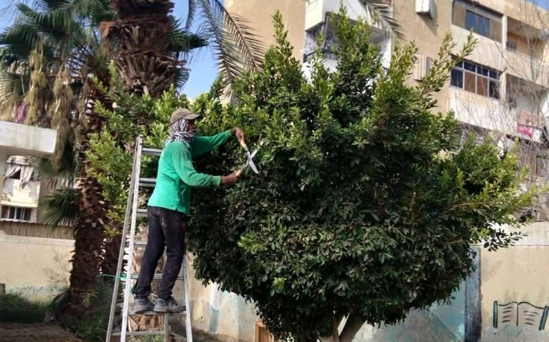 جهاز التجميل في السويس يعزز المدارس والمظهر الحضاري