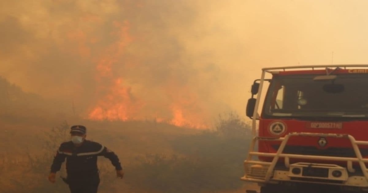 Forest Fires in Algeria Spotlighted in New Documentary