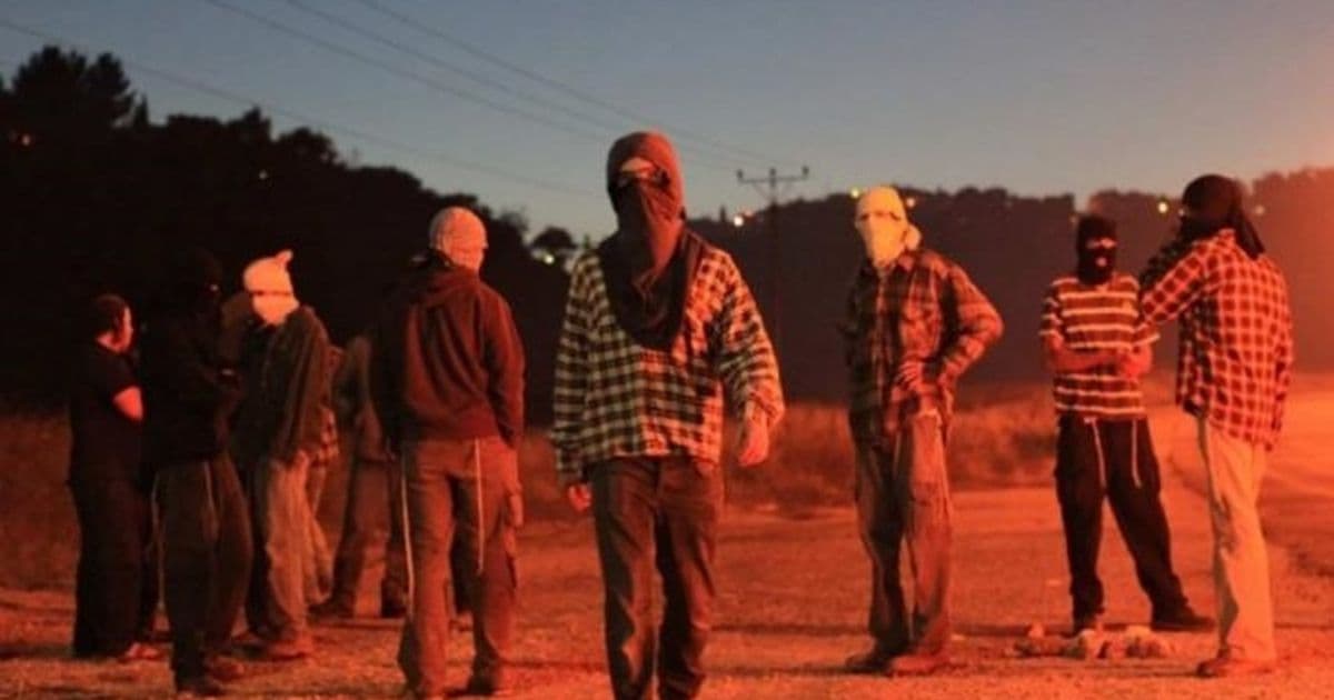 West Bank arrests and settler olive thefts
