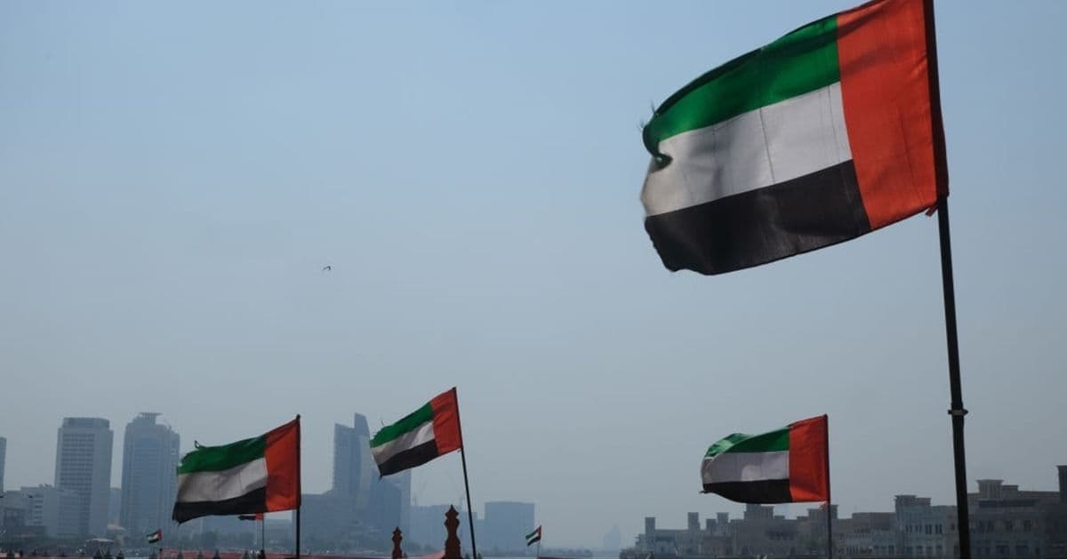 UAE increases Africa investments by $110B