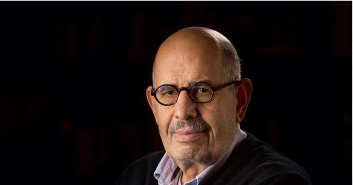 ElBaradei Calls for Regional Security System Including Turkey and Iran