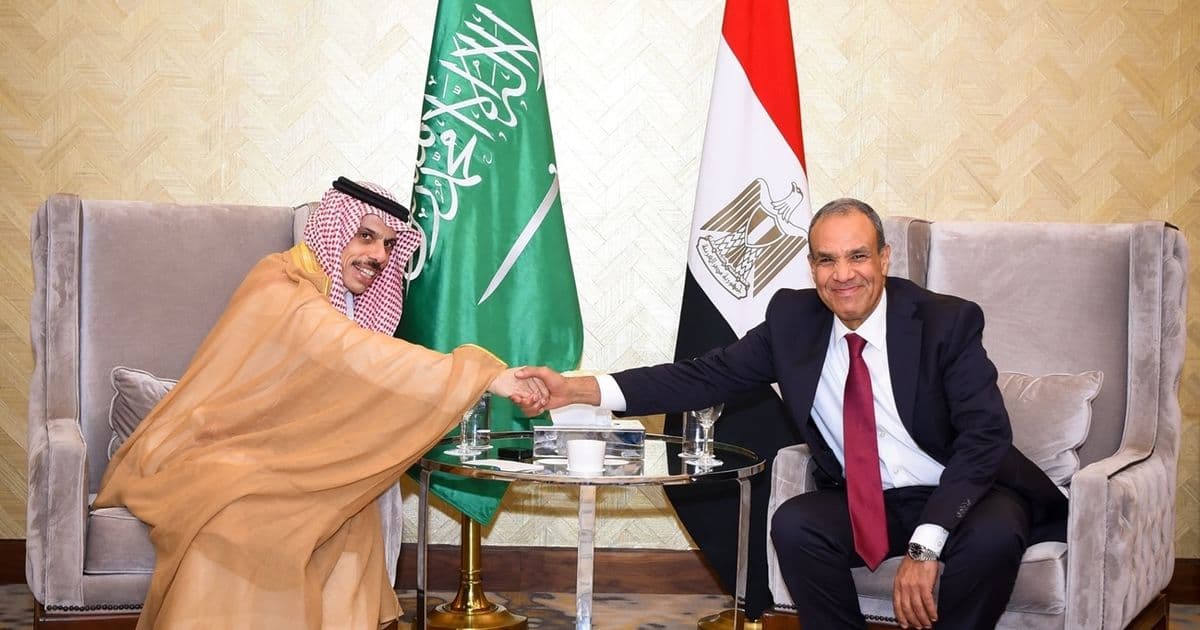 Egyptian FM meets with Saudi and Iranian officials on de-escalation