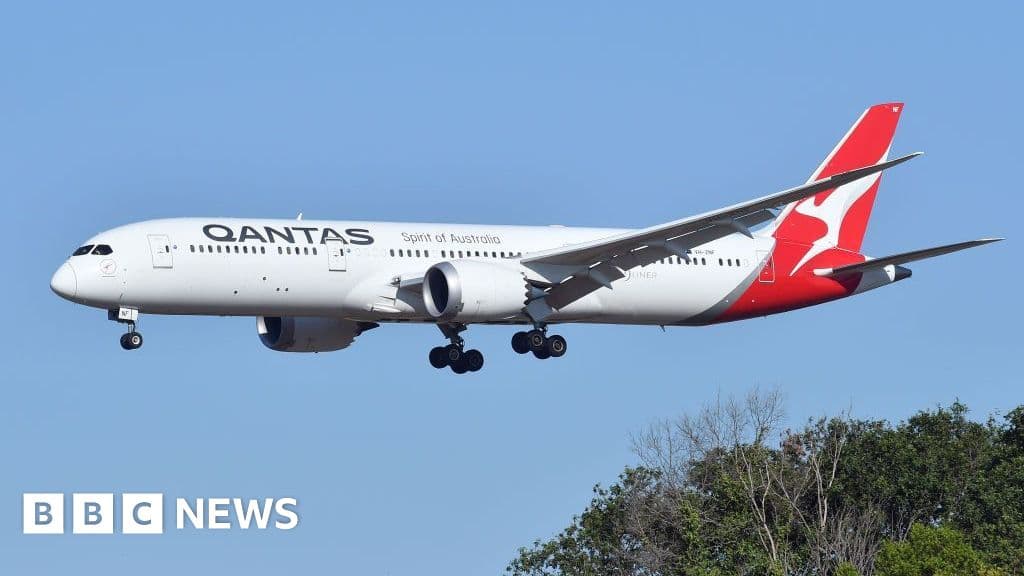Qantas Flight Halted Over Bedbugs