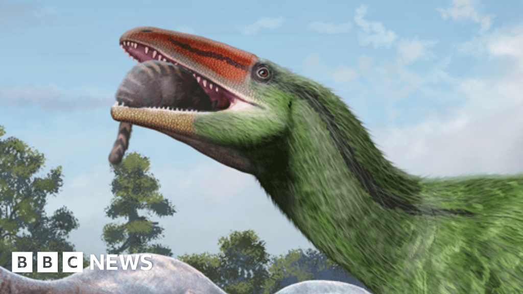 New Dinosaur Species Found on Isle of Wight