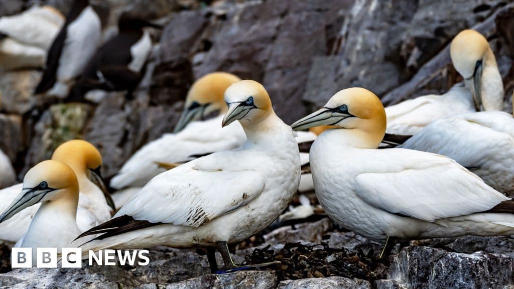 NatureScot denies ignoring scientific advice