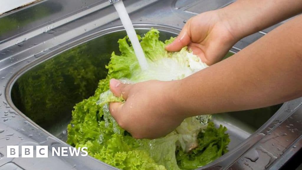 Michigan records first two cyclospora deaths