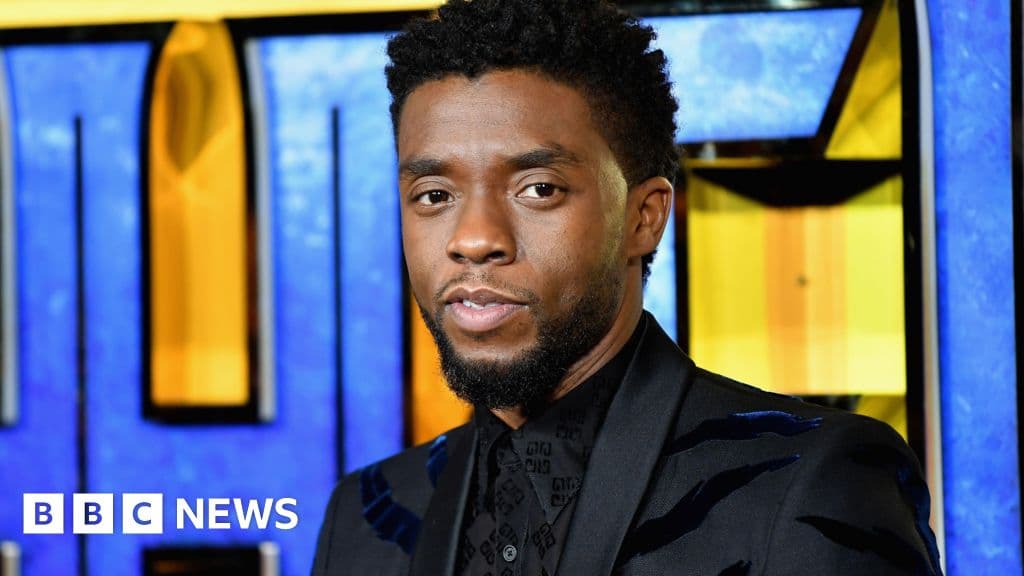 Black Panther Star's Family in Legal Dispute