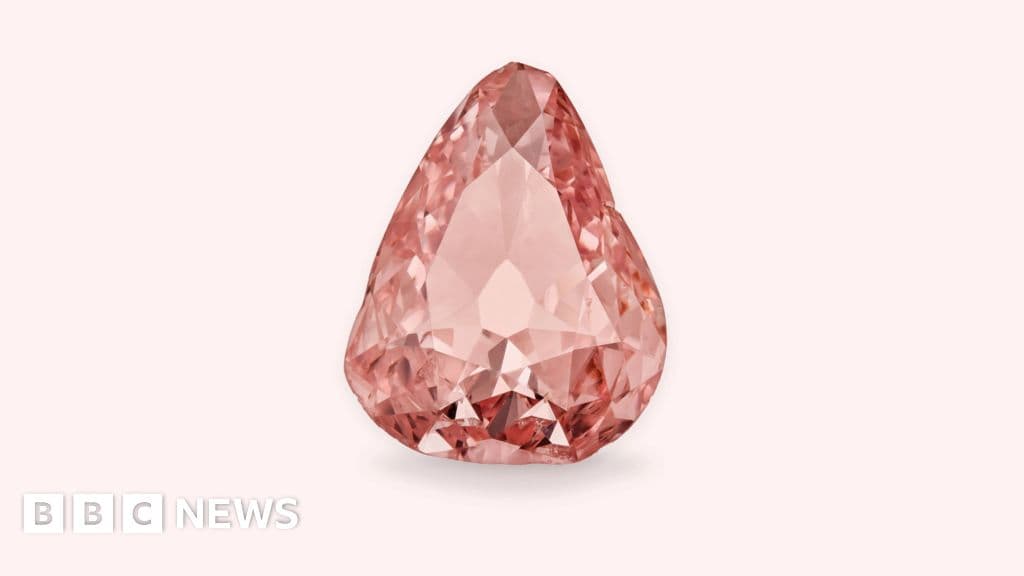 Pink diamond displayed in France after century