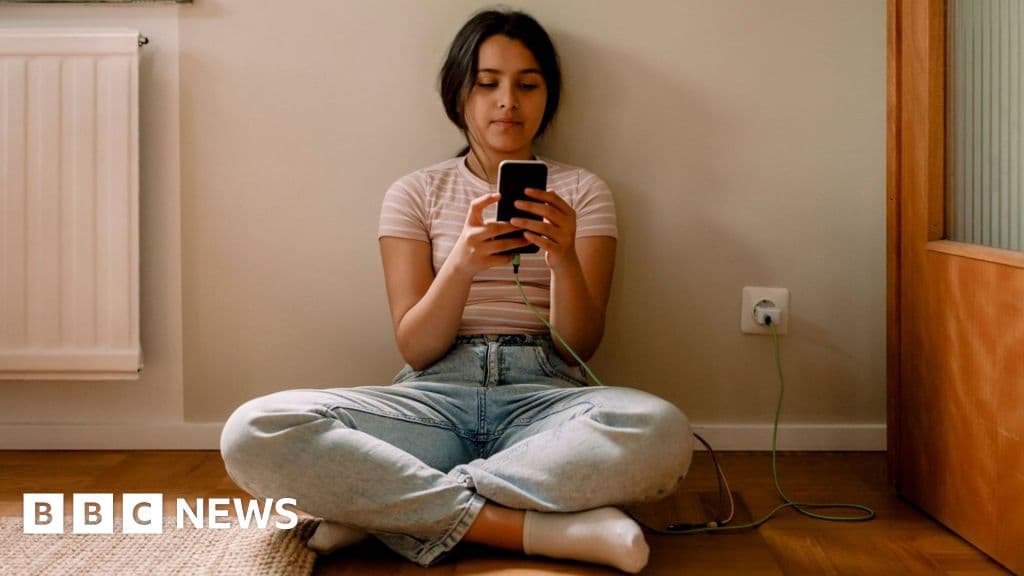 EU plans social media limits for kids