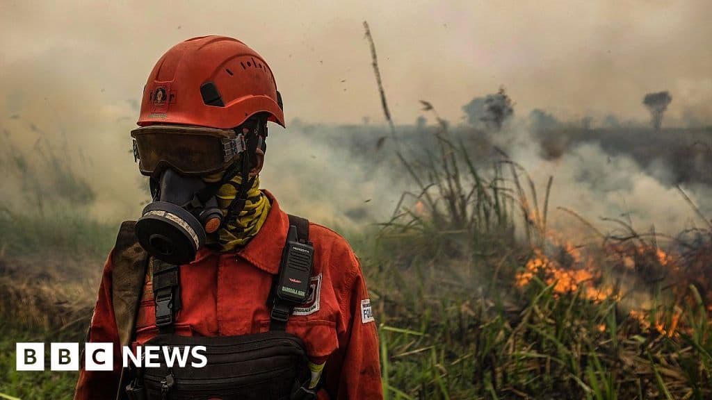 Indonesia fires cause toxic haze across Southeast Asia
