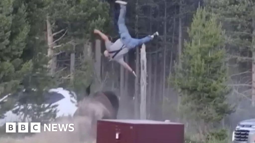 Grandfather recalls Yellowstone bison attack