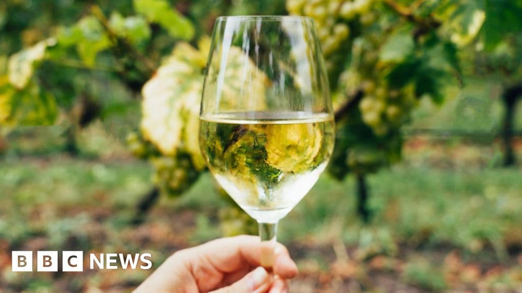 Ireland's emerging wine sector heats up
