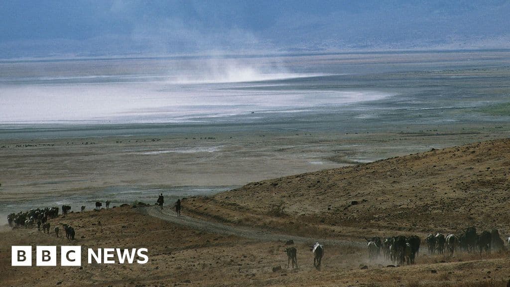 شرطة تنزانيا تعتقل الحراس بعد وفاة في محمية
