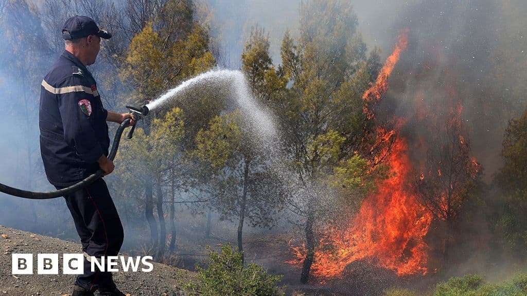 Wildfires in northern Algeria kill at least 12