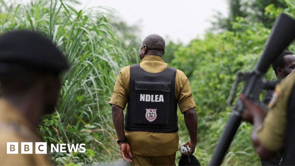 Nigeria's drug trade and Mexican cartels