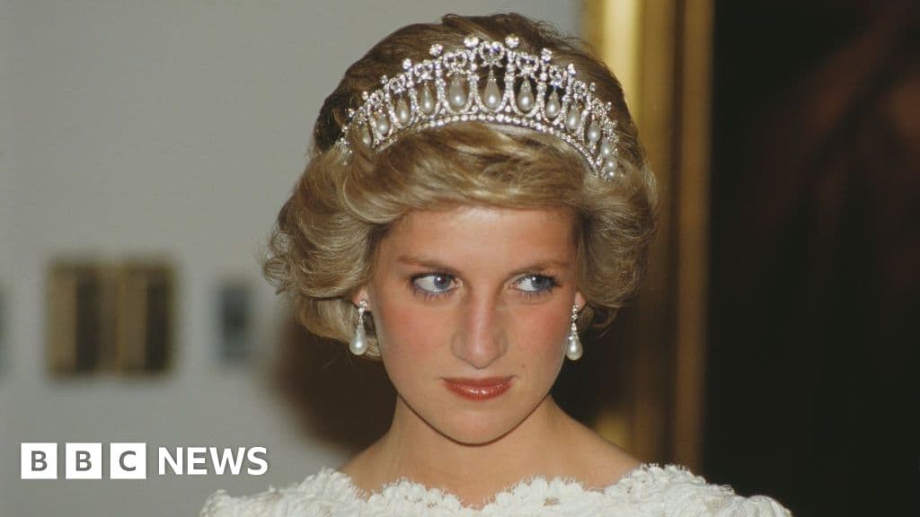 Earl Spencer's Diana book stolen in the Netherlands
