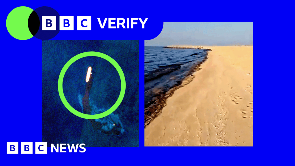 Verify Template Status