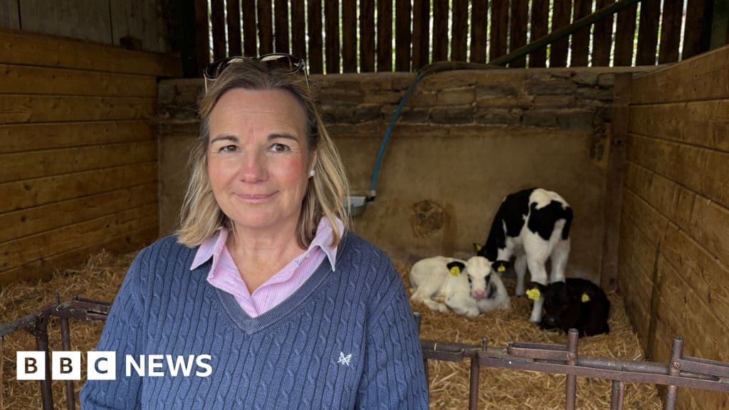 Bluetongue 2026 outbreak causes farmer doubts