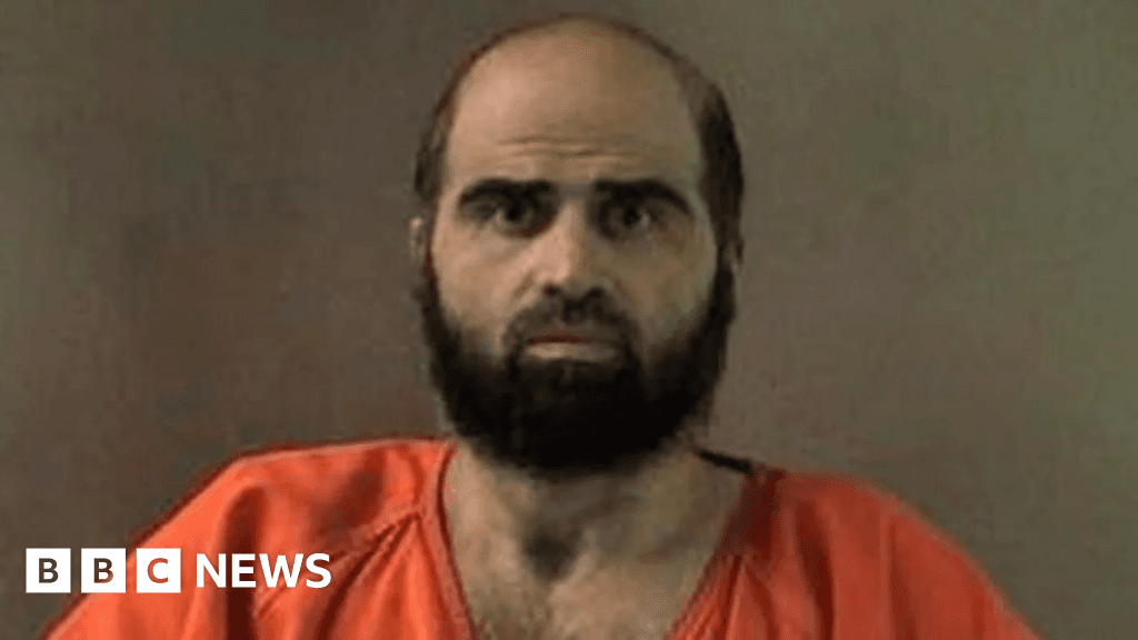 Nidal Hasan and US online execution plans