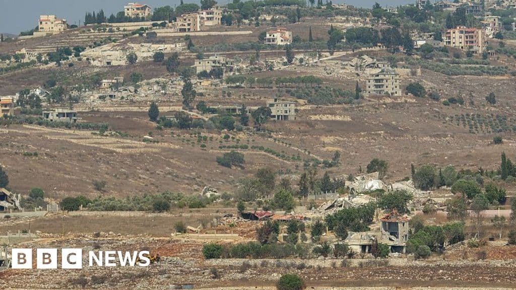 زعيم القرية: ثلاثة مزارعين معتقلون في لبنان