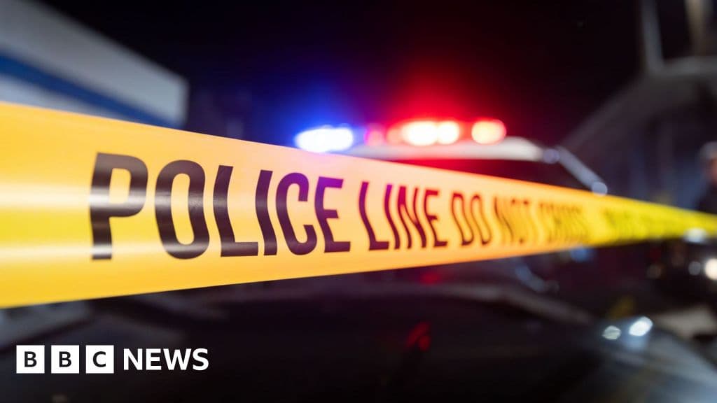 مسؤولون جورجيا يحققون في حادثة إطلاق نار