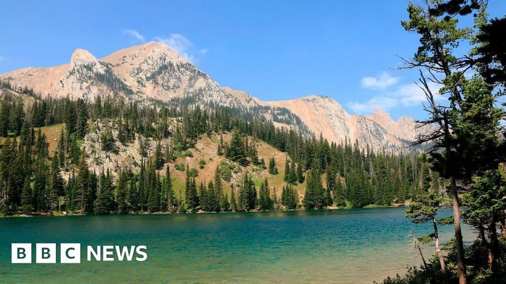 Yellowstone Effect Changes Western City