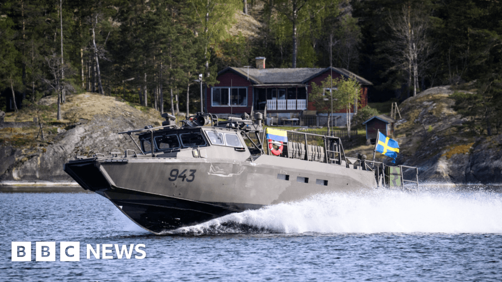 Swedish military aims to acquire Russian estate
