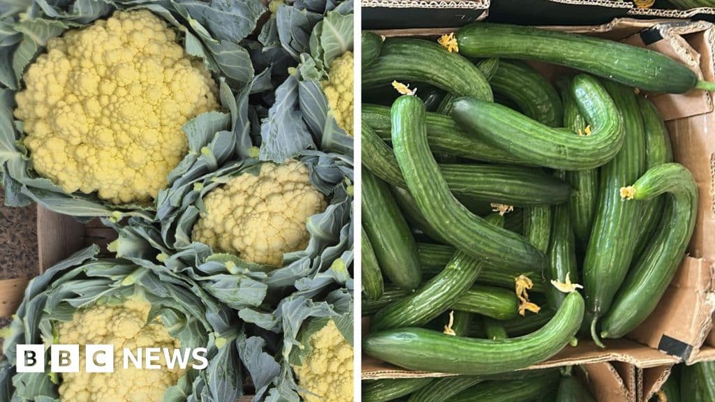 Heatwave vegetables for eating
