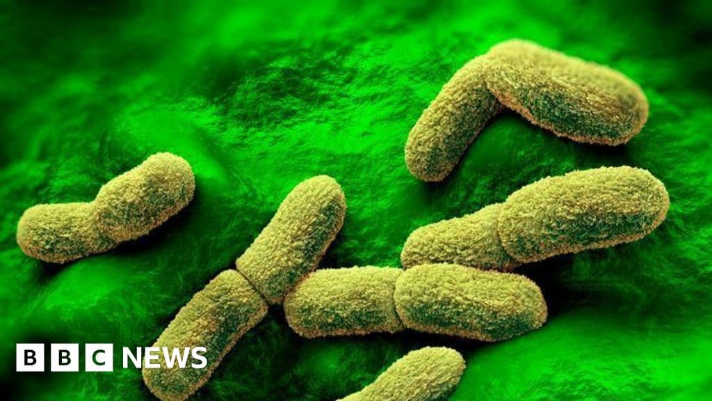 US tracks reports following Russian researcher death